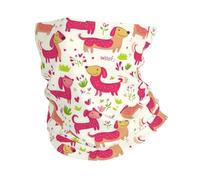Sciarpa a Mezza Faccia Cute Dachshund Roses Print Antivento Ghetta da Collo Sportiva Cerchietto per Capelli per Uomo Arrampicata 26X30cm