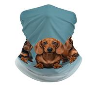 Sciarpa al Collo Three Dachshunds Elastico Passamontagna Sportiva Cerchietto per Capelli per Yoga Escursionismo 26X30cm