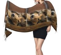 Sciarpa con nappe in finto cashmere, adatta per primavera, autunno e inverno, calda e morbida, coperta con sciarpa e nappe. Cane di razza Rough Collie Lassie, cani grandi e soffici, animali domestici.