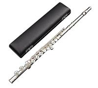 SciAza flauto dolce flauto irlandeseFlauto a foro aperto placcato in argento a 16 fori in chiave di Do, per principianti, studenti e adulti