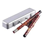 SciAza flauto dolce flauto irlandeseFlauto traverso suonato a mano a doppio inserto a due sezioni, adatto a studenti, adulti e principianti(Color:bE)