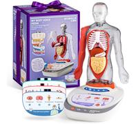 Science Can Modello del Corpo Umano per Bambini - Modello Interattivo di Anatomia con 17 Pezzi di Torso Umano Rimovibile, Kit Educativo Scientifico STEM per Bambini di Età 6+ Regali per Ragazzi e