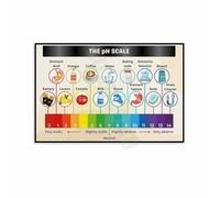 Science Classroom Decor - The pH Scale Knowledge Chart Poster Canvas Wall Art Print for School(Unframed,12x18inch(30x45cm))