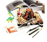 Science Digging - Educational Excavation Kit, Interactive Discovery Toy | With Science Digging Activity, Skills Building Learning Set | STEM Archaeology Gift For Children Classroom Home Experiments