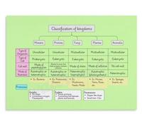 Science Education Poster Kingdoms Of Life Canvas Print Home Wall Decor | Clear hierarchical structure shows evolutionary relationships making complex biological concepts(Framed,12x18inch(30x45cm))