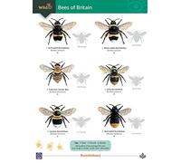 Science in Urban Green Spaces: Science Resource Booklet for Teachers