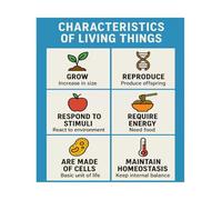 Science Teacher Resource Characteristics of Living Things Poster Biology Study Guide Classroom Homeschool Decor Rolled Laminated Option(Framed,08X12inch(20X30cm))