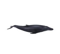 Science4you - Figura megattera, plastica, Taglia M (769,0)