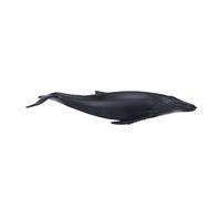 Science4you - Figura megattera, plastica, Taglia M (769,0)