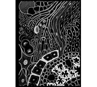 Scientific Research Notebook: Designed by a Scientist for Scientists, Researchers, PhD Students, and Laboratory Professionals