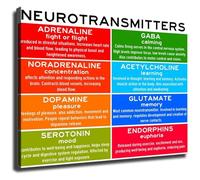 Scientific Wall Decor Neurotransmitter Diagram InfoGraphic Art Print on Canvas Educational Poster for Office Home Study Room Interior Design(Unframed,08x12inch(20x30cm))