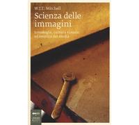 Scienza delle immagini. Iconologia, cultura visuale ed estetica d