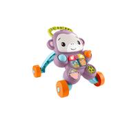Scimmietta viola primi passi - 6m+ - fisher-price