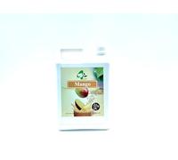 Sciroppo al Gusto Mango, Concentrato Aromatizzato, Tanica da 2,5 kg/1,9 L