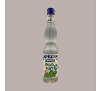 Sciroppo Concentrato per Granita Gusto Menta Bio Mixybar Fabbri 740 gr
