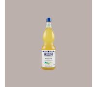 Sciroppo Concentrato per Granita Gusto Mojito Menta Lime Mixybar Fabbri 1,3 Kg