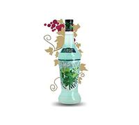Sciroppo di MENTA GLACIALE VEDRENNA 70 cl