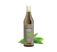 Sciroppo Odk Gusto Iced Tea Te Freddo Bottiglia Pet da 750 ml Linea Professional