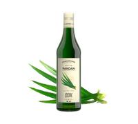 Sciroppo Odk Gusto Pandan Bottiglia Vetro da 750 ml Senza Glutine