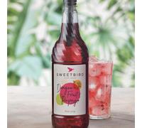 Sciroppo Sweetbird Frutto del Drago e Papaya, 1 l