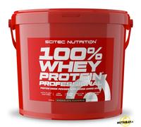 Scitec Nutrition 100% Whey Protein Professional - 4 kg