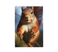 Scoiattolo Divertente Animale Benvenuto Giardino Bandiera 2x3 Ft Double Sided No Fade Casa Yard Bandiere Foto Sfondo Festa Banner Per Cortile Portico Prato Decorazione Esterna