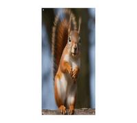 Scoiattolo divertente animale porta d'ingresso copertine banner porta di benvenuto grande sfondo divertente banner decorazioni per appendere interni ed esterni e buoni regali di primavera per gli