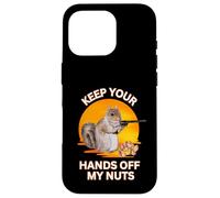 Scoiattolo Hey Keep Your divertente sarcastico tramonto amante scoiattolo Custodia per iPhone 16 Pro