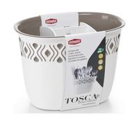 LINEA TOSCA TORTORA SCOLAPOSATE 19,5x13,5 cm