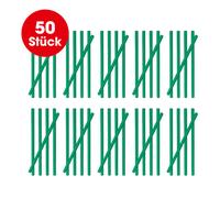 Scolate i Pulitori Bastoncini Detergente Tubo Libero 50 Pezzo BAR Fragranza Mela