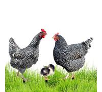 Scommesse Di Giardino Decorative Chicken - Pollo Garden Stake | 3x Puelli Di Pollo Di Ferro Resistente Al Clima | Atterraggio Di Pollo In Metallo Resistente All'Ossido Per Migliorare L'Aperto Per E