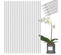 Scommesse Di Piante In Vasi | Sticks Di Orchidee Trasparente Supporti Di Supporto Di Vite Acrilico | Spighe Di Irrigazione Per Fiori | Strumenti Di Giardinaggio Piante In Vasi