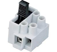 Sconosciuto Adels-Contact 19928 lustro terminale flessibile rigido: 0.5-2.5mm² numero di poli (num): 2, 1 pezzo