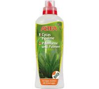Sconosciuto Altea Cycas E Palme 1000g