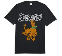 Scooby Doo Big Logo Comfort Colors Adult Heavyweight T-Shirt