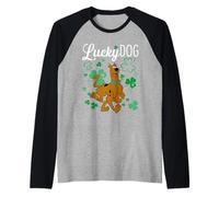 Scooby-Doo Lucky Dog Shamrocks Maglia con Maniche Raglan