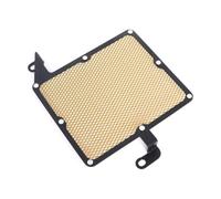Scooter Motore Radiatore Protezioni Per SYM DRG158 DRG150 DRG160 HUSKY ADV150 MMBCU Accessori Di Modifica