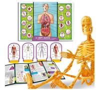 Scoperta del corpo umano - Kit scientifico - SONO UN GENIO TASCABILE - Modello 3D