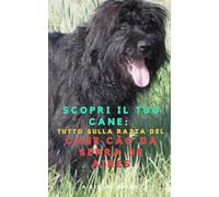 Scopri il Tuo Cane: Tutto sulla razza del Cane Cão da Serra de Aires