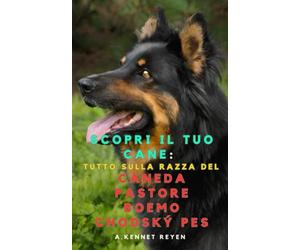 Scopri il tuo Cane : Tutto sulla razza del Cane da Pastore Boemo Chodský Pes