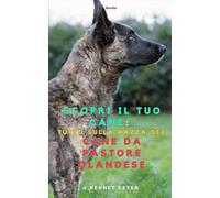 Scopri il tuo Cane :Tutto sulla razza del Cane da Pastore Olandese