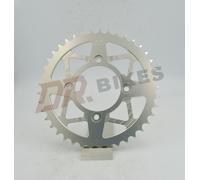 Scorpa 250 Twenty 2T 15-16 AFAM Alu Pignone Posteriore 93320-41