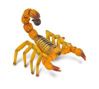 Raccogli una figura realistica di scorpione dalla coda grassa con replica animal