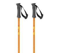 Scott Bastoncini Element Junior