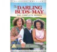 Scott Biao - Darling Buds of May, the