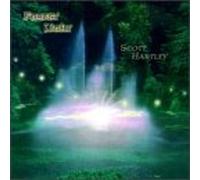 Scott Hartley - Forest Light