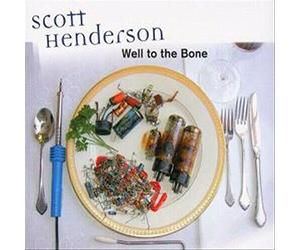Scott Henderson - Well to the bone