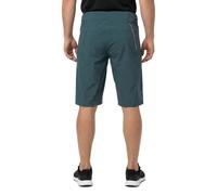 Scott Pantaloni Corti Endurance Ls/fit Padded Aruba Green