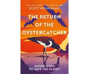 Scott Weidensaul The Return of the Oystercatcher (Copertina rigida)