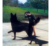 Scott Young Post Peace (Vinyl LP) 12" EP